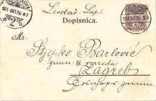 1901 Goszpics, Gospic; Zupanijska zgrada / Vármegyeháza / county hall (gyűrődés / crease)