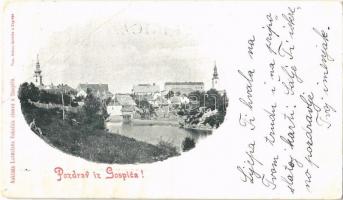 1900 Goszpics, Gospic; látkép, templomok / general view with churches. Naklada Lavoslava Vukelica (EB)