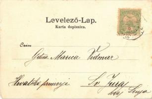 1903 Goszpics, Gospic; Visa djevojacka i niza pucka skola / Leánygimnázium és elemi iskola, templom ...