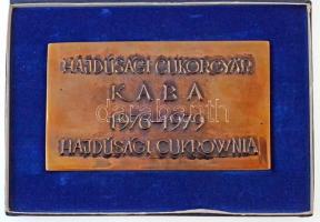 1979. "Hajdúsági Cukorgyár-Kaba 1976-1979 - Hajdúsági Cukrownia" Br emlékplakett, díszdobo...