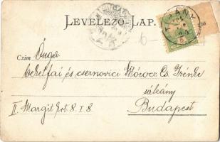 1904 Budakeszi, Máriamakk, kirándulók szamárral. photo (EB)