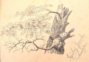 Gyulay Janka (?-?): 9 db illusztráció. Ceruza, papír, jelzett (Gyulay Janka V. oszt. tan.), 5 db szé...