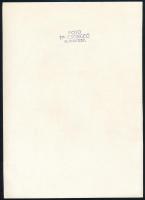 cca 1960 Dr. Csörgeő Tibor (1869-1968): Elida borotvahab reklám, pecséttel jelzett fotó, 24×17 cm