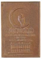 1934. Az érdem jutalmául! M.G.O.E. Corvin kiállításának emlékére 1934. október 4-6. Br emlékplakett, LUDVIG BP. gyártói jelzéssel (45x65mm) T:2