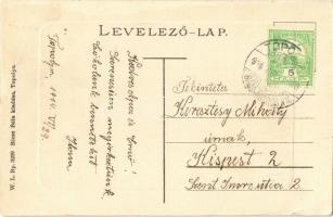 1914 Topolya, Bácstopolya, Backa Topola; Dr. Hadzsy féle ház, egészségház, létra. W. L. Bp. 3239. Ri...