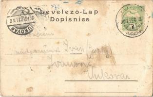 1907 Bunic (Lika), Grobnica obitelji "Mlinaric" / Mlinaric családi kripta, sír / tomb of t...