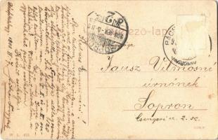 1908 Bácsfeketehegy, Feketitsch, Schwarzenberg, Feketic; Községháza, létra. W. L. 633. / town hall, ...