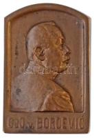 Osztrák-Magyar Monarchia 1915. "Isonzó-hadsereg 1915 / Borojević" Br emlékplakett. Szign.:...