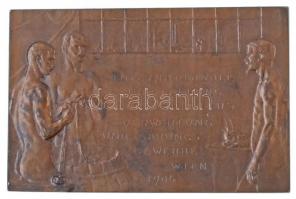 Ausztria 1904. "Nemzetközi Borászati Kiállítás Bécsben" Br emlékplakett "R. MARSCHALL...