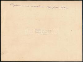 1931 Dr. Sipőcz Jenő (1878-1937) Budapest polgármestere, harmadik ciklusának kezdetekori eskütétele,...