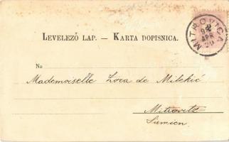 1898 Szávaszentdemeter, Mitrovice, Mitrovitz an der Save, Sremska Mitrovica; Szerb ház, Fő tér, Önko...