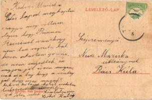 Temerin, Temeri; Matkovics kastély. W. L. (?) 404. Schröder kiadása / castle (EB)