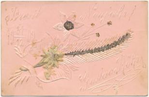 1909 Újévi üdvözlőlap igazi havasi gyopárral / New Year greeting with real Edelweiss flower (Leontopodium nivale)