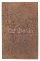 Exner Károly (1850-1919) 1913. "Glück Frigyes" Br plakett. "GLÜCK FRIGYES ÚR TISZTELE...