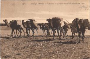 Paysages Sahariens, Caravane de Transport cenant de traverser un Oued / Saharan landscapes, camel caravan, folklore (EK)