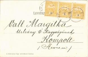 1905 Felsőnána, Plébánia, Fő utca. Fogyasztási Szövetkezet kiadása (EK)