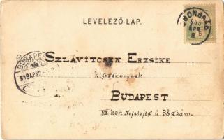 1903 Csongrád, Úszóműhely a Tiszán, szélmalom. Szilber János kiadása (kopott sarkak / worn corners)