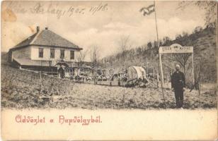 1905 Torbágy, Biatorbágy; Steer Mátyás vendéglője a Napvölgyhez, étterem (fl)