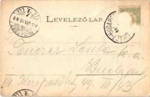 1905 Torbágy, Biatorbágy; Steer Mátyás vendéglője a Napvölgyhez, étterem (fl)