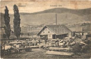 Stajnica (Brinje), Industrija drva / fűrésztelep, fatelep. A. Gomercic Fotograf / sawmill, wood industry (fl)