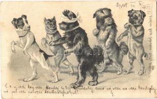 1901 Dogs playing. Emb. litho