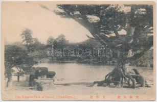 16 db RÉGI külföldi városképes lap / 16 pre-1945 European town-view postcards