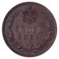 1876. "Országos Ipar-, Termény- és Állat Kiállítás Szegeden" Br díjérem. "AZ 1876 ÉVI...