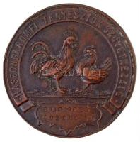 1929. "H. M. Váráshely THJ. Város 1929 / Haszonbaromfi Tenyésztők Szövetkezete" Br emlékér...