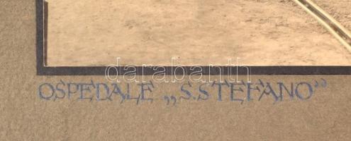 cca 1905 Budapest, Szent István Kórház, feliratozott fotó, kartonra kasírozva, Erdélyi Mór nem szign...