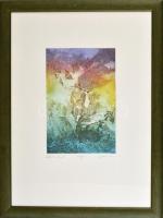 Egresi Zsuzsa (1954-): Lepkék lovagja. Színes rézkarc, papír, jelzett, üvegezett keretben, 29×19 cm