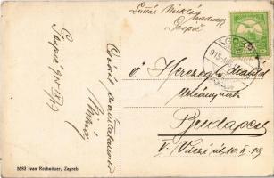 1915 Goszpics, Gospic; Starceviceva ulica / utcakép, M. D. Dosen üzlete. Ivan Rechnitzer kiadása / s...