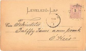 1900 Futak, Futtak, Futog; Hadik kastély / Schloss / castle (kis szakadás / small tear)