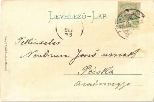 1905 Mezőtúr, Gőz és kádfürdő, Artézi kút, Magy. kir. Állami felső leányiskola, Új Berettyó vashíd. ...