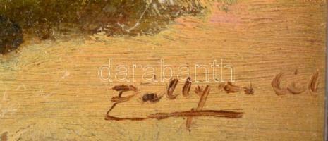 Pállya Celesztin (1864-1948): Káposzta vásár. Olaj, falemez, jelzett, üvegezett keretben, 10×17,5 cm