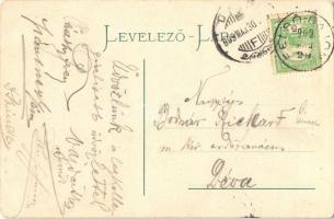 1909 Bázna, Bázna-fürdő, Felsőbajom, Baiumul de Sus, Baassen, Baile Bazna; Sétatér, meleg fürdő. Kia...