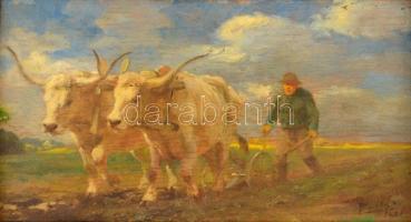 Pállya Celesztin (1864-1948): Tavaszi szántás. Olaj, falemez, jelzett, keretben, 10×17,5 cm