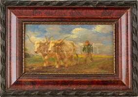 Pállya Celesztin (1864-1948): Tavaszi szántás. Olaj, falemez, jelzett, keretben, 10×17,5 cm