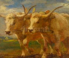 Pállya Celesztin (1864-1948): Tavaszi szántás. Olaj, falemez, jelzett, keretben, 10×17,5 cm