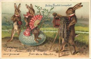 1905 Boldog Húsvéti Ünnepeket! / Easter greeting art postcard, rabbit photographer. Emb. golden decoration litho