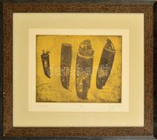 Szurcsik József (1959-): Álomvivők 1997. Színes rézkarc 4/20, papír, jelzett, üvegezett keretben, 24...