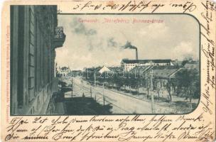 Temesvár, Timisoara; Józsefváros, Bonnaz utca / Iosefin, street (EK)