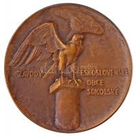 Csehszlovákia DN Sokol mozgalom Br sportérem. Szign.: Horejc Jaroslav (35mm) T:1-,2
Czechoslovakia ...