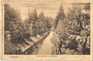 1908 Előpatak, Valcele; Alsó parkrész a patakkal / park and creek (szakadás / tear)