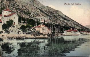Mulla at Kotor