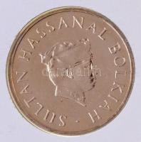 Brunei 1991. 50s felbélyegzett borítékban, bélyegzéssel, német nyelvű leírással T:I Brunei 1991. 50 ...