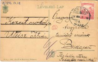 1918 Tátraszéplak, Tatranska Polianka, Westerheim (Magas-Tátra, Vysoké Tatry); szanatórium / sanator...