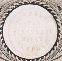 Budapest 1876. "A Központi Ipartársulati Hitelintézet" részvénye 100Ft-ról szelvényekkel, ...