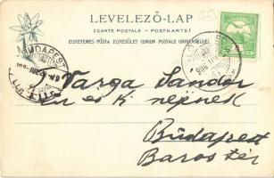 1908 Iglófüred, Bad Zipser Neudorf, Spisská Nová Ves Kupele, Novoveské Kúpele; szálloda, fürdő. Kiad...