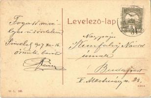 1907 Pincehely, Alsó utca, Mándl József üzlete. W. L. 348.  (EK)