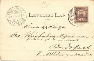 1901 Püspökladány, Fő utca és a városrész a református imaházzal. Fénynomat Divald műintézetéből (EK...